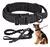 Collar Y Cuerda Para Perros. - comprar en línea