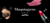 Imagem do banner rotativo BeautyModas