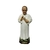 Imagem Padre Eustáquio Resina 22 cm