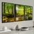 Quadros Decorativos Trio Natureza