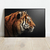 Quadro Decorativo Tigre