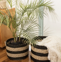 CANASTOS EN SEAGRASS - SET X 2 - tienda online
