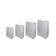 Bolsa Papel Blanco Con Manija X unidad G1 (12x19x6)