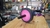 rueda para abdominales rosa - comprar online