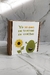 Box Shrek en internet