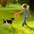 Anel de borracha para cachorro - loja online