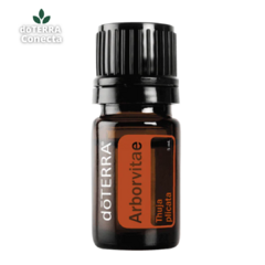 Arborvitae