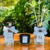 Kit Lavabo Luxury - Lima da Persa - comprar online