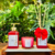 Kit Lavabo Luxury - Rosas