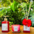 Kit Lavabo Luxury - Rosas - comprar online