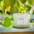 Vela Aromática Luxury - Figo (100g) na internet