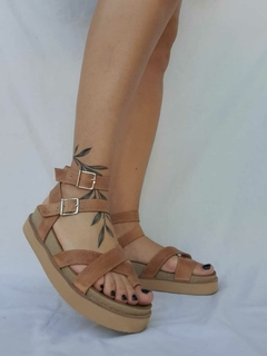 GLADIADORAS ?(2512)