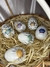 Egg Stronger
