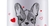 Pote Dog Love 3,6L - comprar online