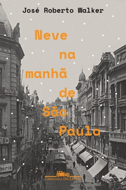 José Roberto Walker - Neve na manhã de São Paulo