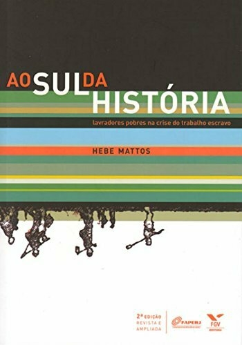 Hebe Mattos - Ao sul da história