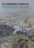 Federico Falco - Un cementerio Perfecto