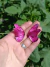 AROS MARIPOSA FUCSIA