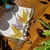 FAIRY EAR CUFF - comprar online