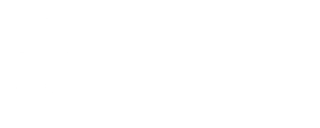 Espíritu Fénix