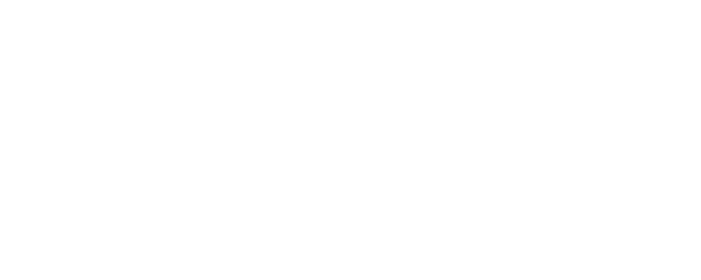 Espíritu Fénix
