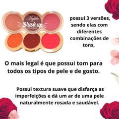 Paleta de Blush 3 Tons Blush Up Mylife MY 8245 - Cor 04 - comprar online