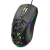 Mouse Gamer Fortrek Striker Preto RGB USB Com Fio - 7314 - comprar online