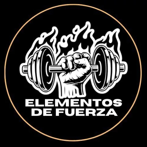 Elementos de fuerza