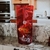 café especial tipo Catuaí vermelho - Inverno D'Italia - comprar online