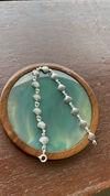 PULSEIRA CONCHAS