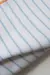 INDIVIDUAL O TRAPO DE COCINA | RAYADO CELESTE X2 - DUNAS TEXTIL