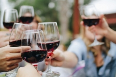 Banner de la categoría Vinos