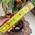 Incenso Varetas Golden India Sreevani 15g - Lua Mystic Store | Cristais, Incensos, Amuletos