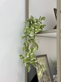 Planta colgante Ada - comprar online
