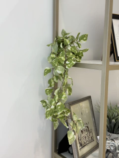 Planta colgante Ada