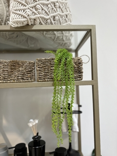 Planta colgante con maceta