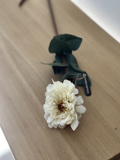 Vara de flor zinnia en internet