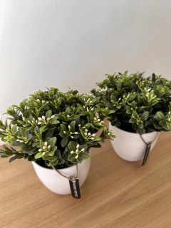 Planta artificial boxwood - comprar online