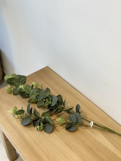 Vara de eucalipto clasic - Gelsomino Home Deco