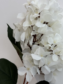 Vara de hortensia blanca en internet
