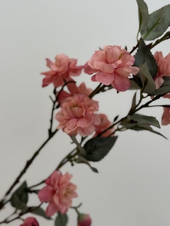 Vara de flor de té rosa en internet