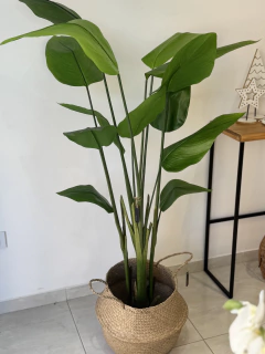 Planta artificial Canna grande - comprar online