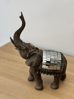 Elefante Rafael