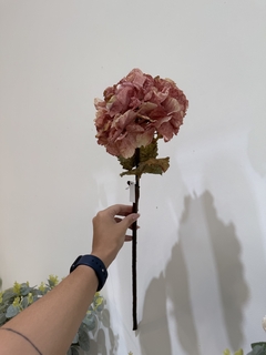Imagen de Vara de hortensia rosa