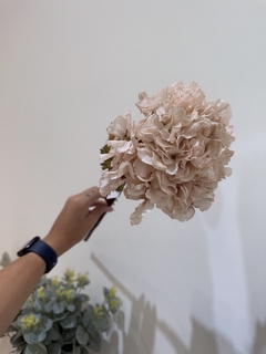Vara de hortensia crudo en internet