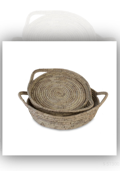 Bandejas de Jacinto - tienda online