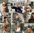 Pack de Presets Cocoa