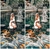 Pack de Presets Bali - comprar online