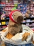 Peluche Capibara 2 en 1 con Manta | Suave, Hipo alergénico y Multifuncional - tienda online