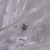 Lotus roxo